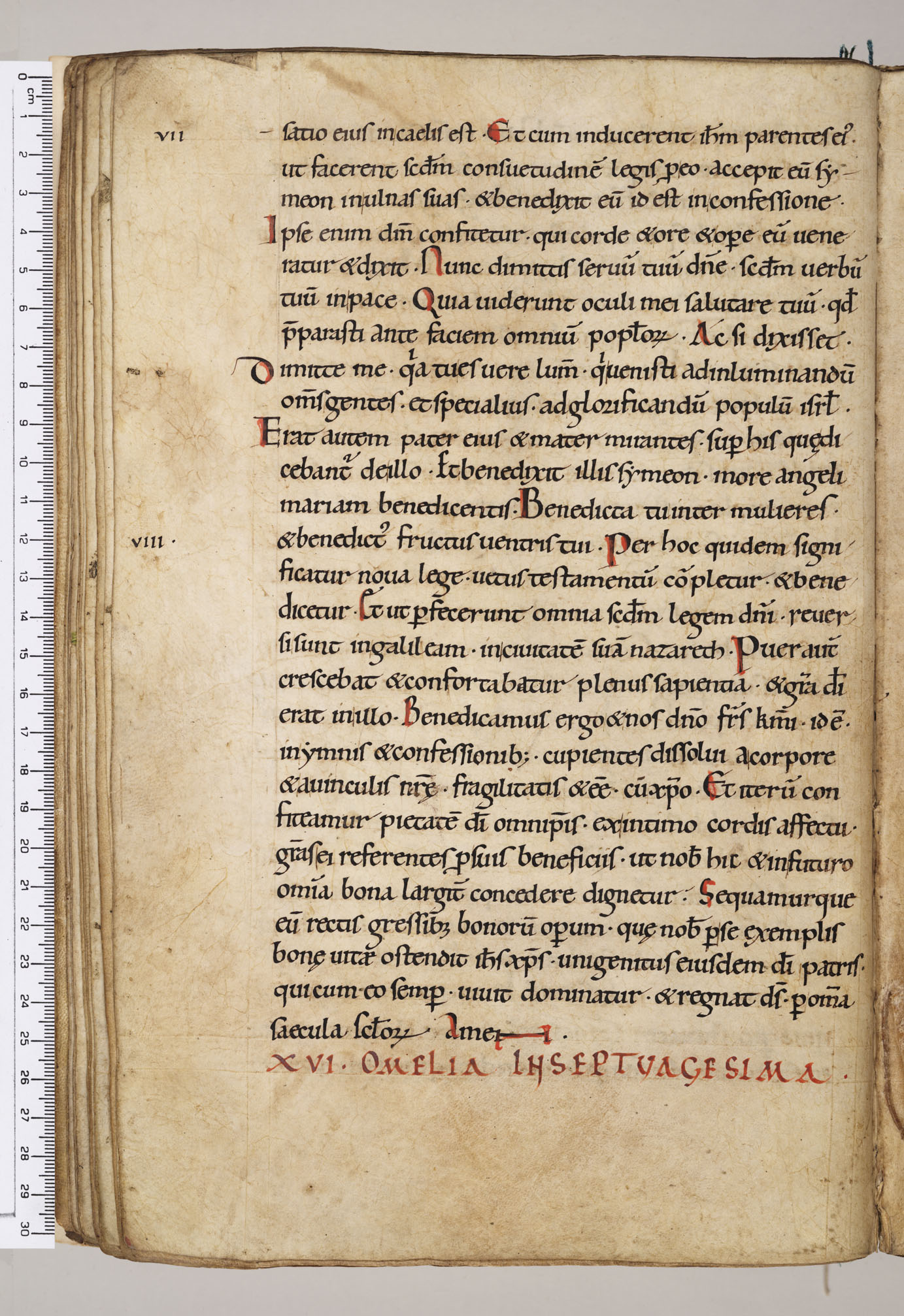 Pembroke 25 Folio 28v (Sermo 15-16)